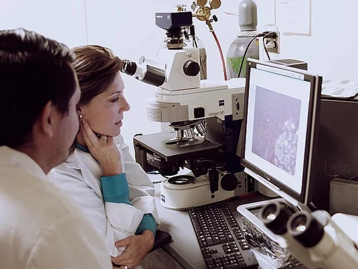 Two researchers study data on a computer screen.